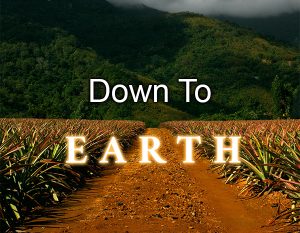 photo/graphic: Down to Earth (rows of plants)